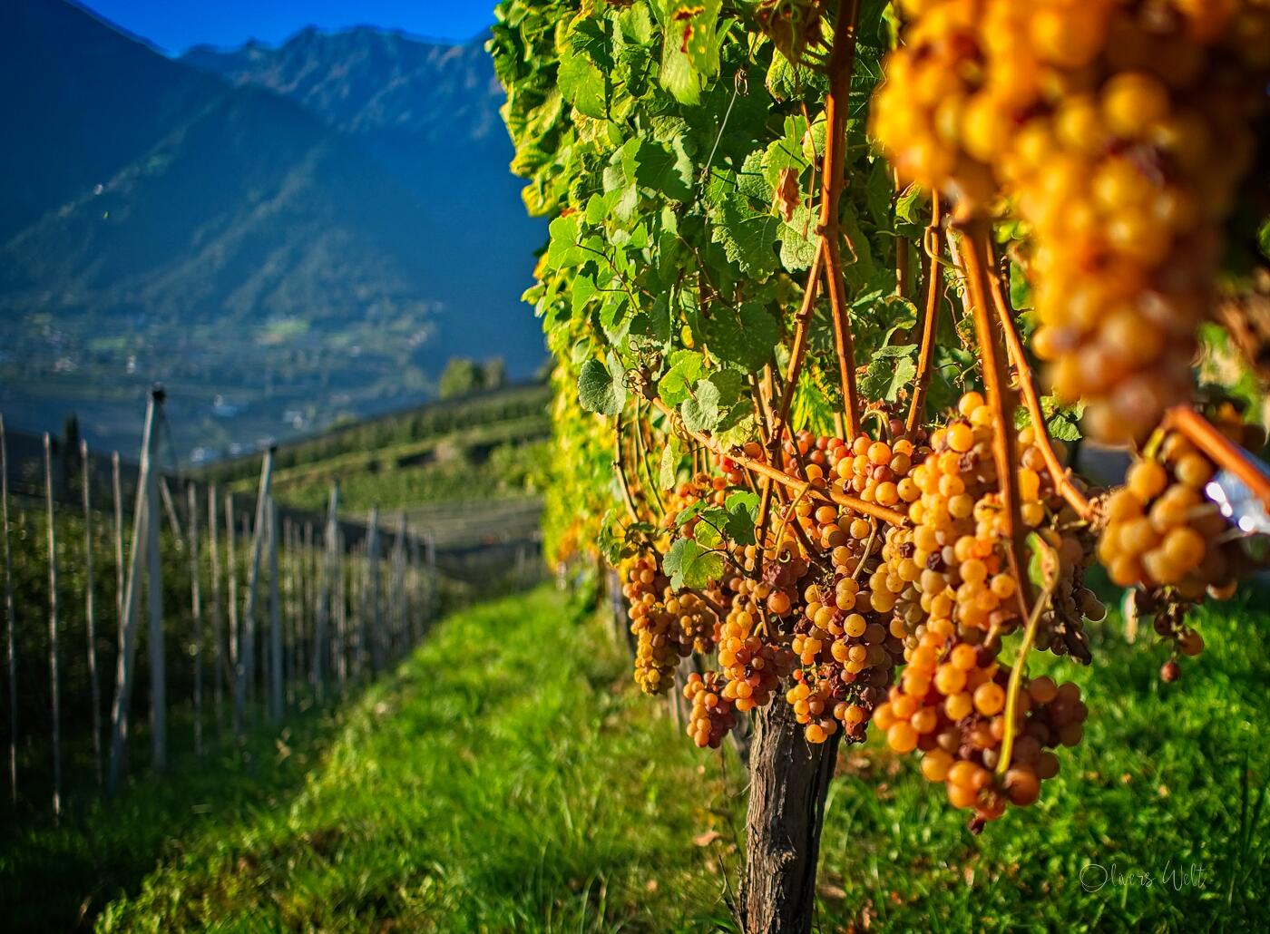 Bild ohne Beschreibung