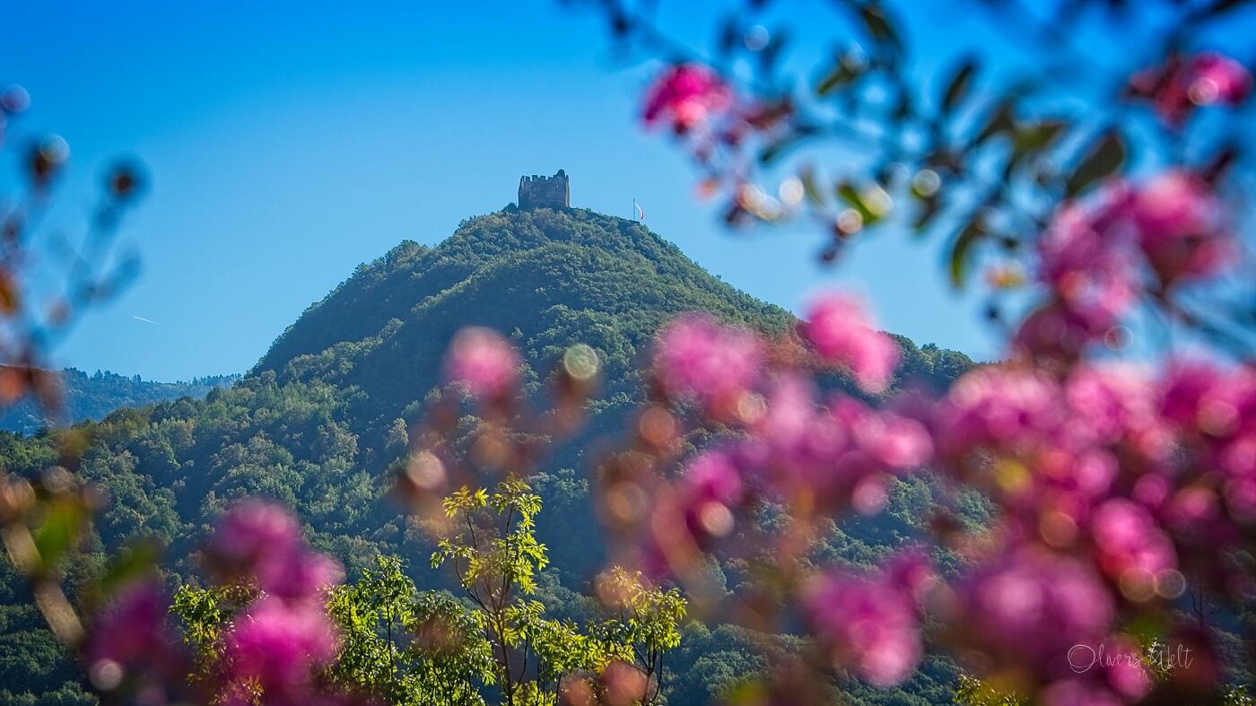 Bild ohne Beschreibung