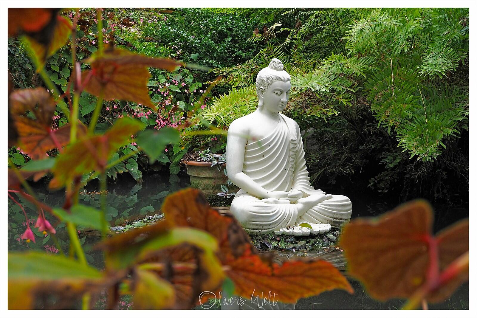 Bild ohne Beschreibung Bild ohne Beschreibung