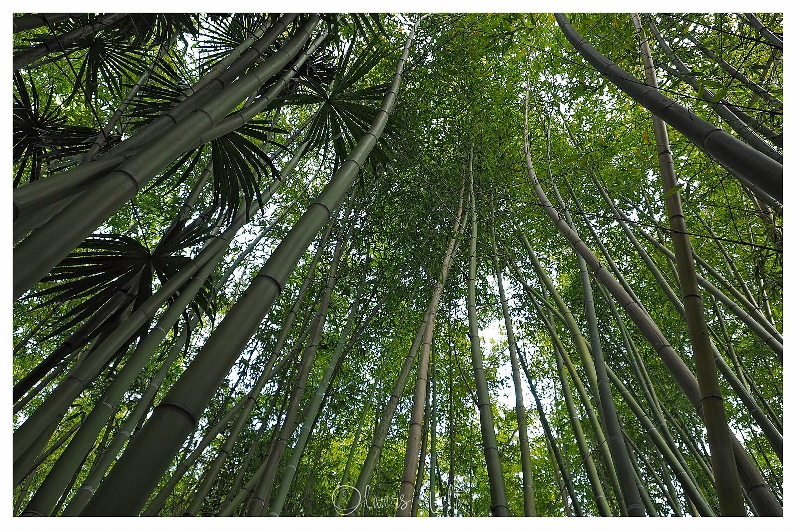 Bild ohne Beschreibung Bild ohne Beschreibung