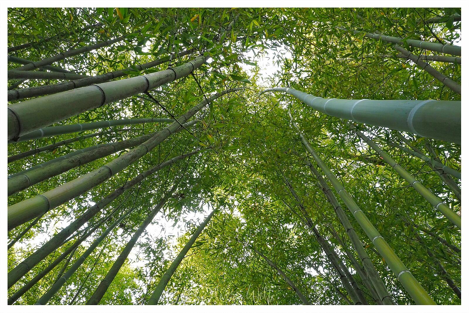 Bild ohne Beschreibung Bild ohne Beschreibung