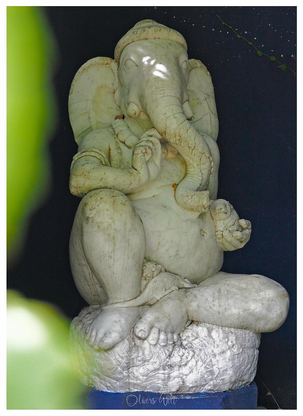 Bild ohne Beschreibung Bild ohne Beschreibung