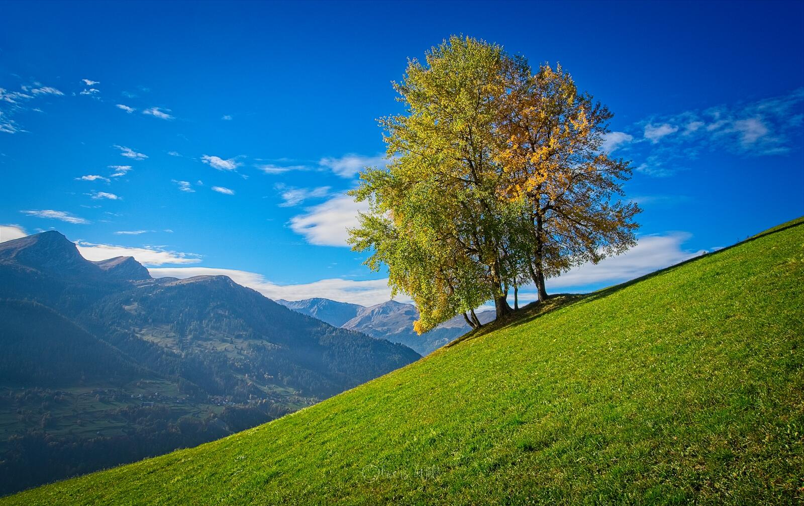 Bild ohne Beschreibung