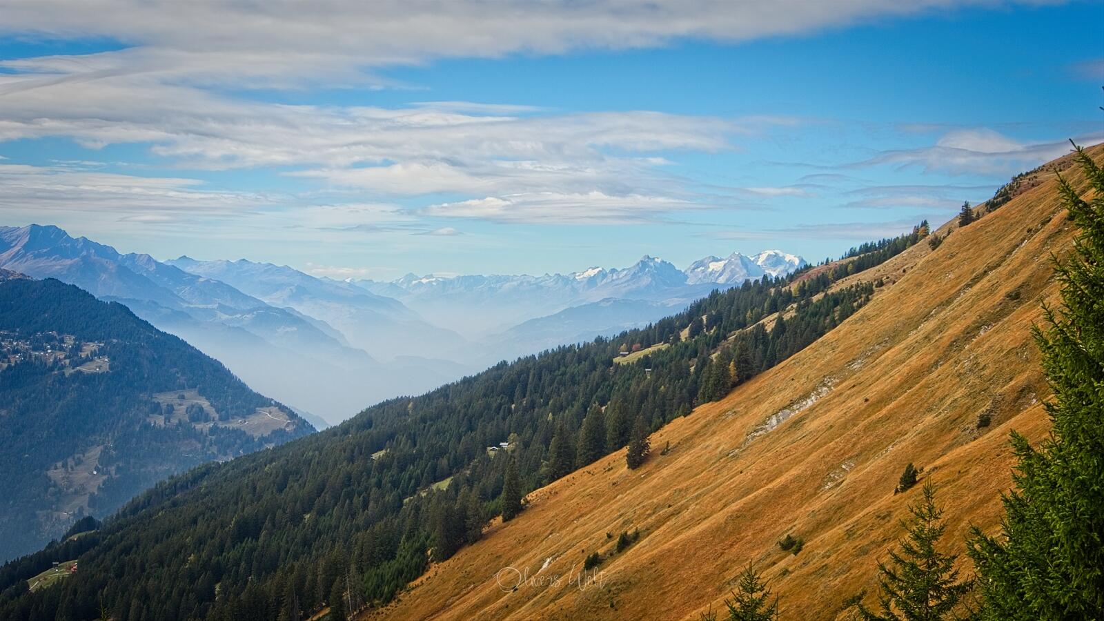 Bild ohne Beschreibung