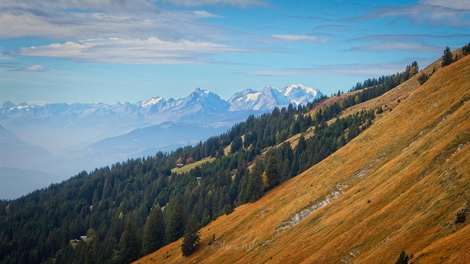 Bild ohne Beschreibung