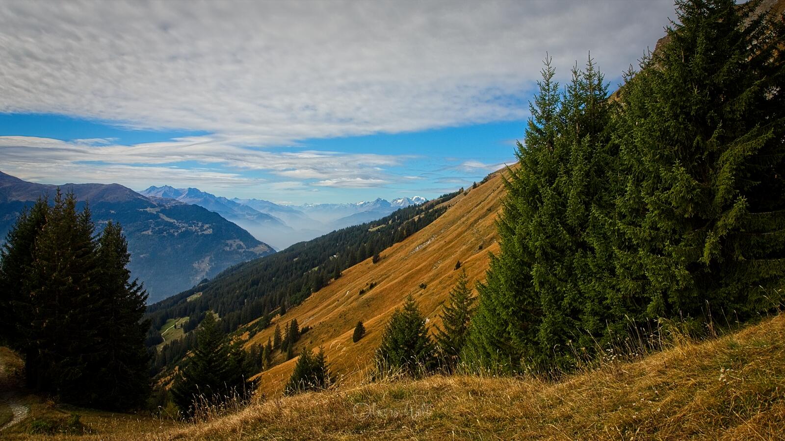 Bild ohne Beschreibung