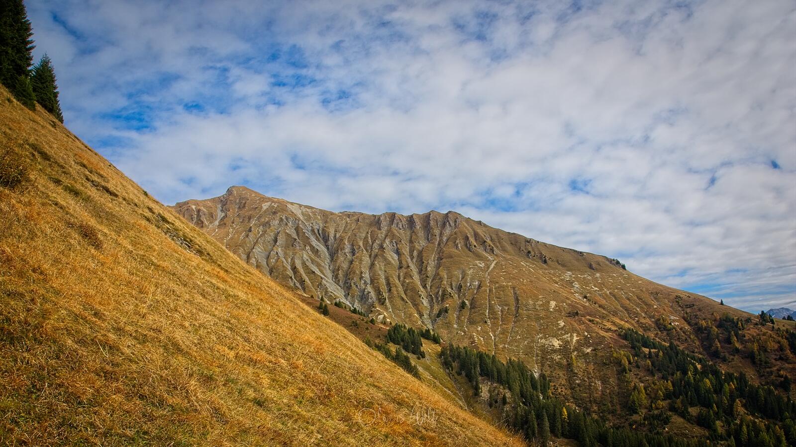 Bild ohne Beschreibung