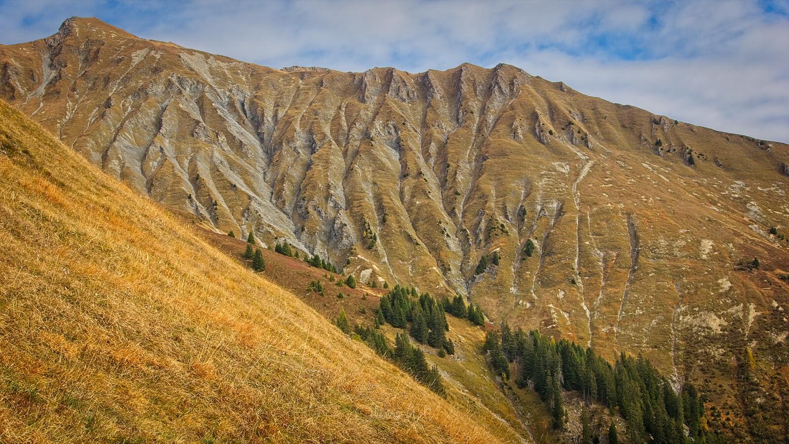 Bild ohne Beschreibung