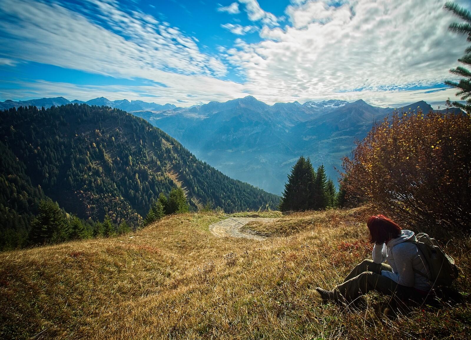 Bild ohne Beschreibung