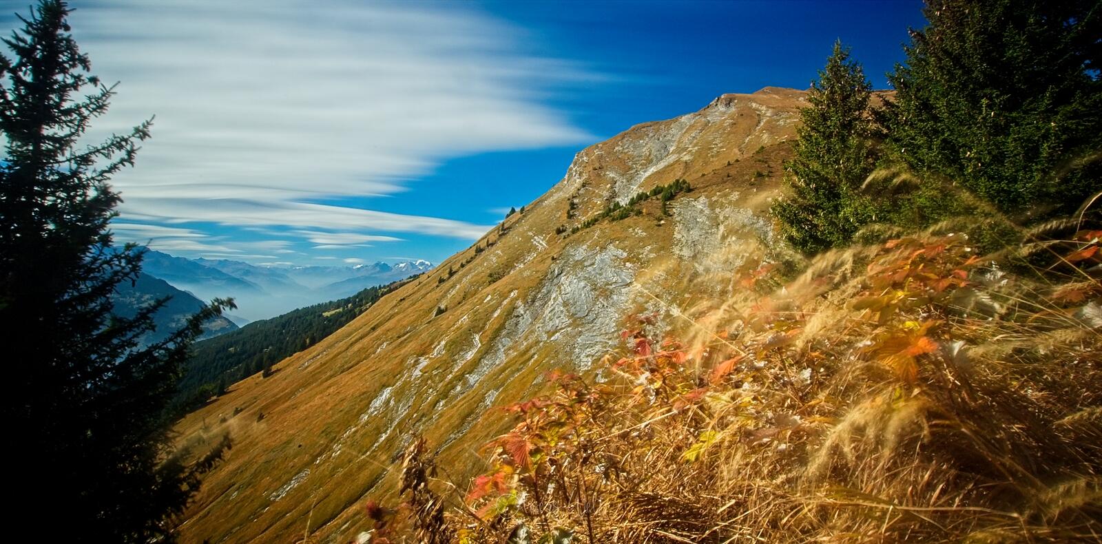 Bild ohne Beschreibung