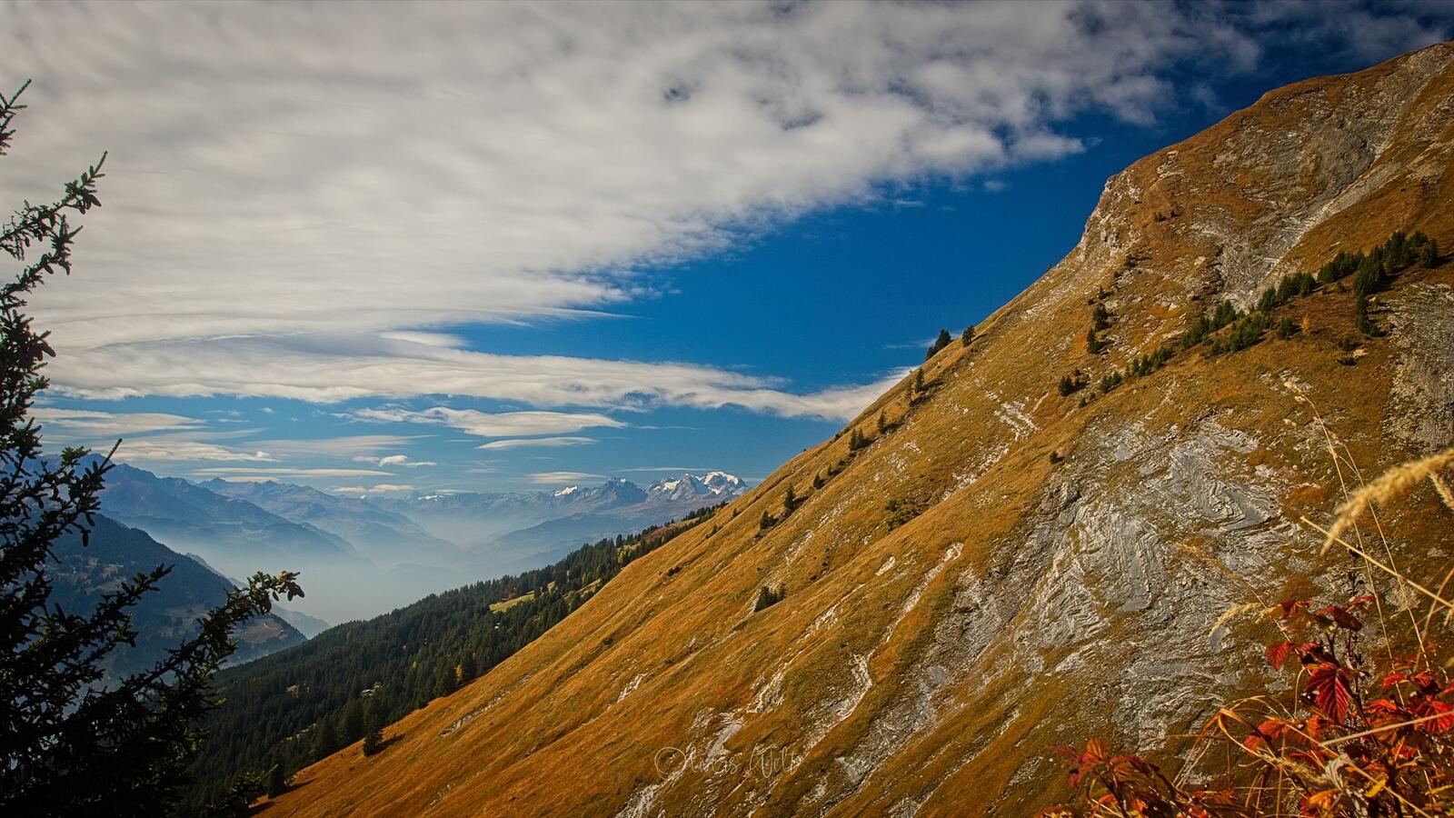 Bild ohne Beschreibung