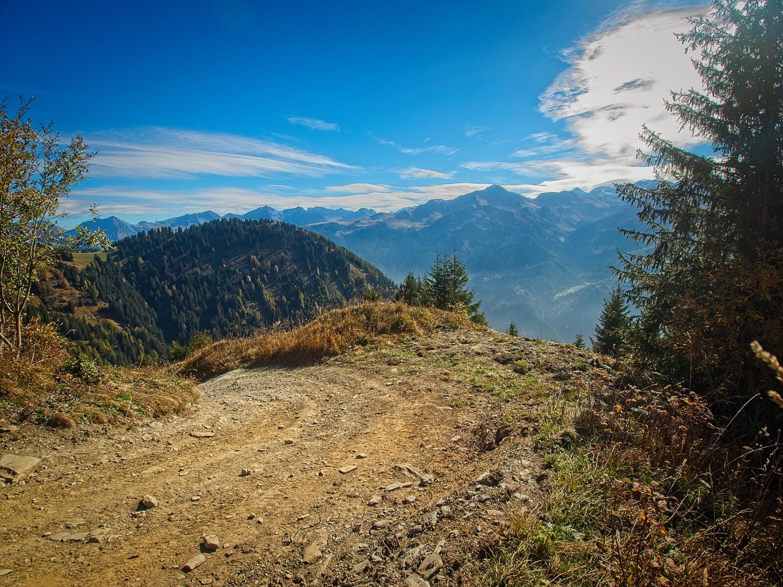 Bild ohne Beschreibung