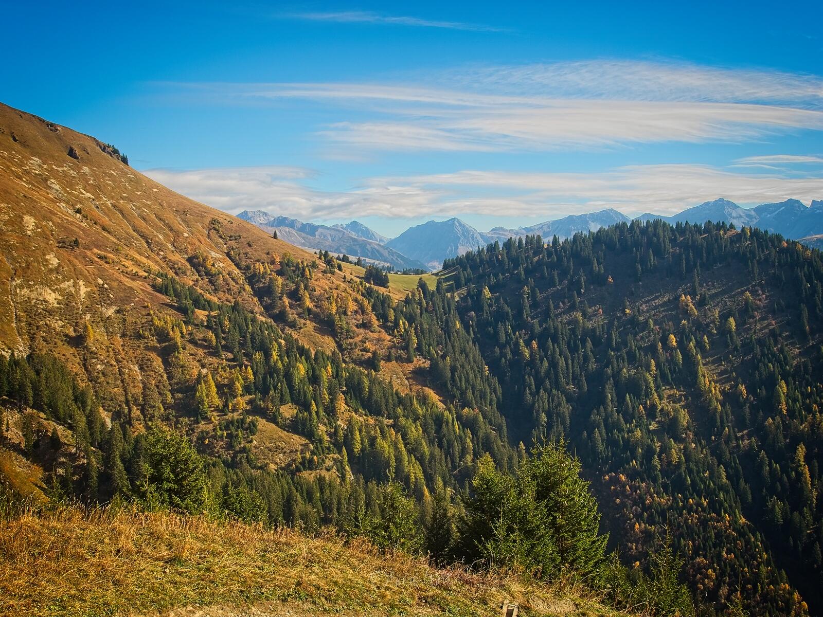 Bild ohne Beschreibung