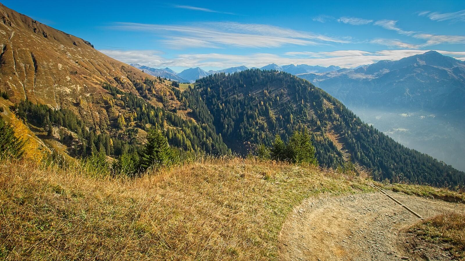 Bild ohne Beschreibung