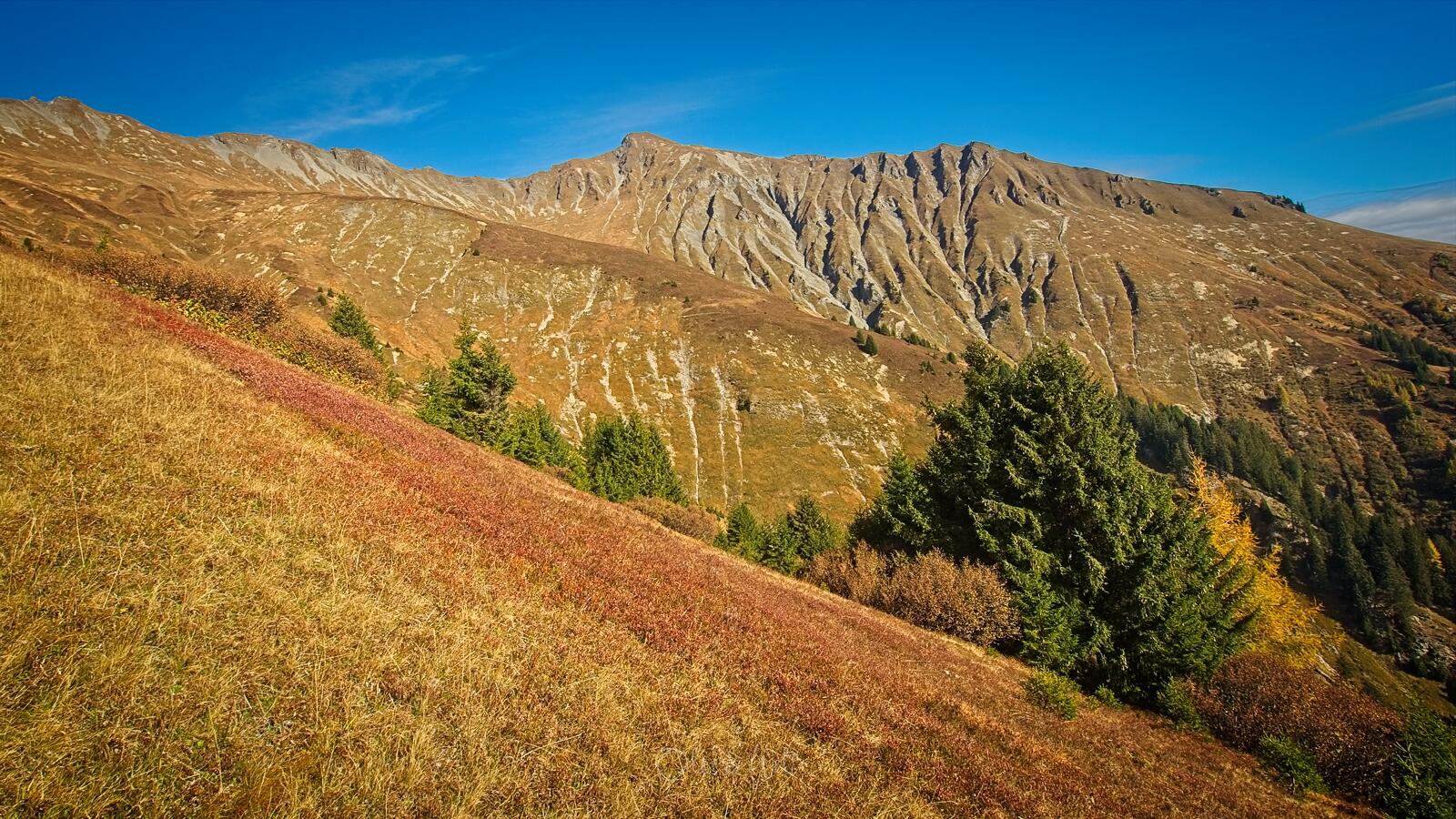 Bild ohne Beschreibung