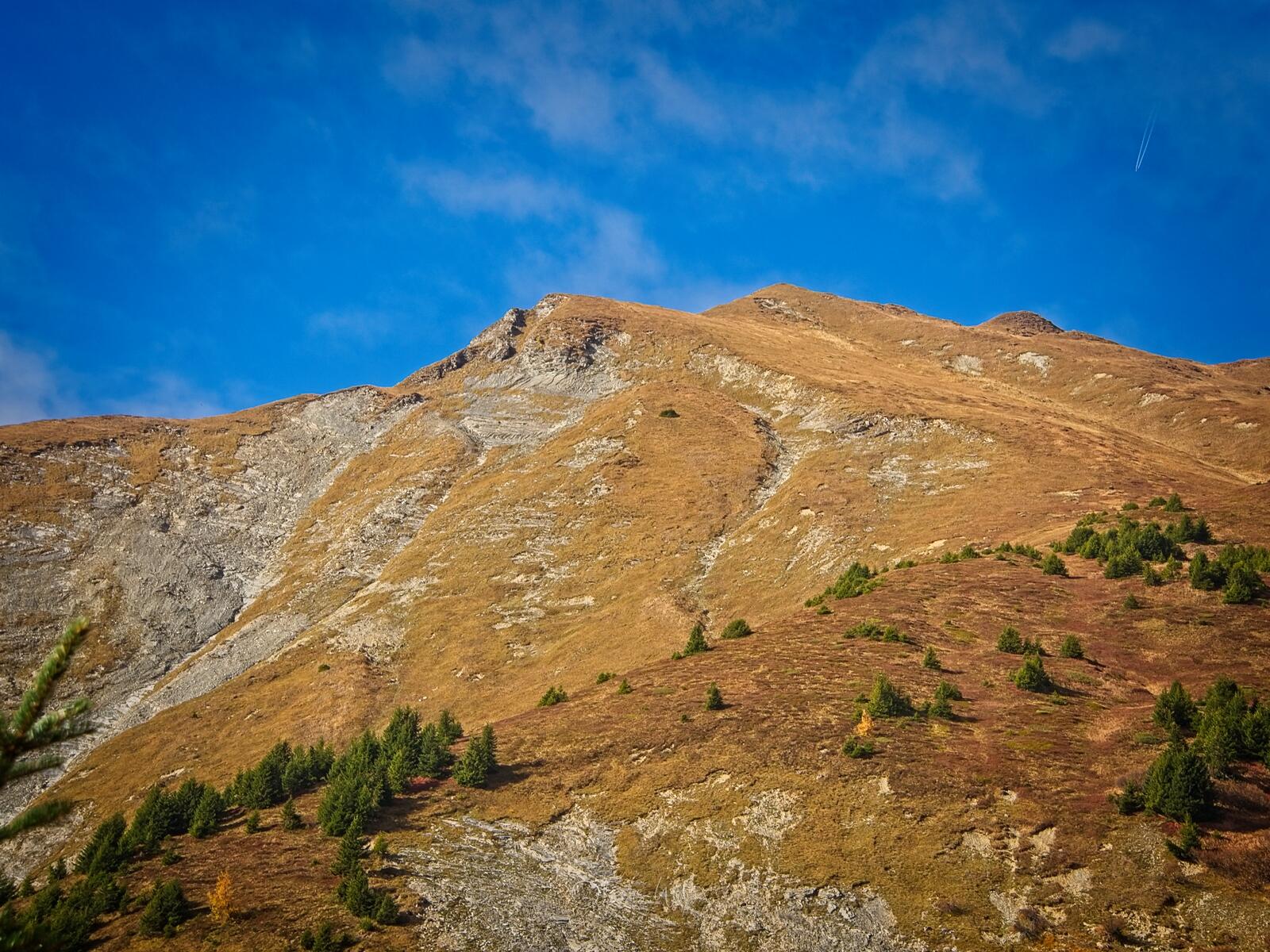 Bild ohne Beschreibung