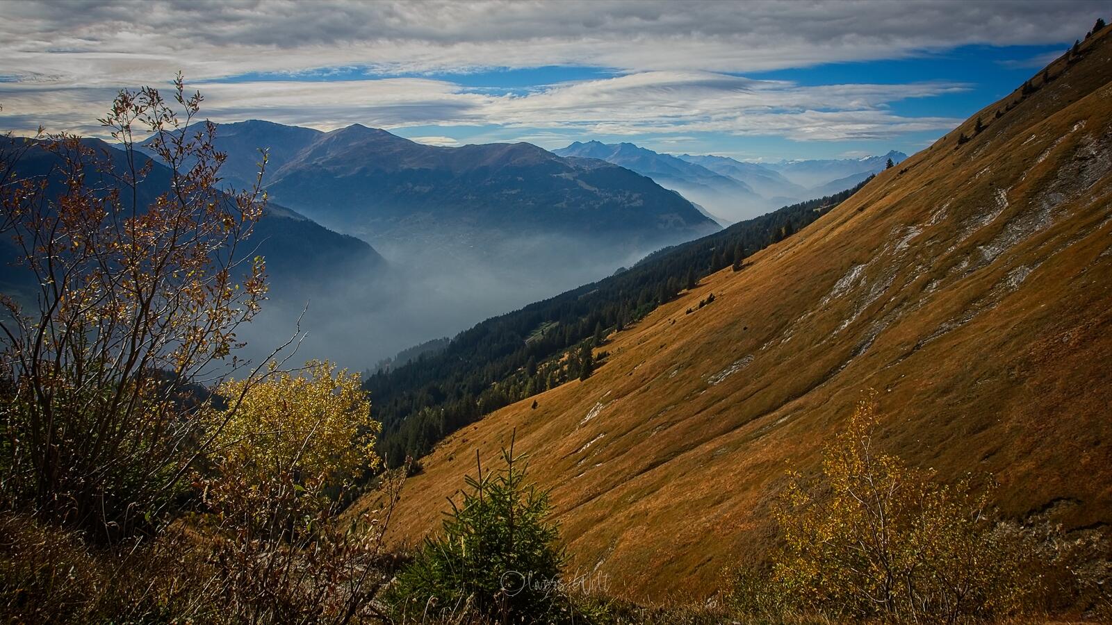 Bild ohne Beschreibung