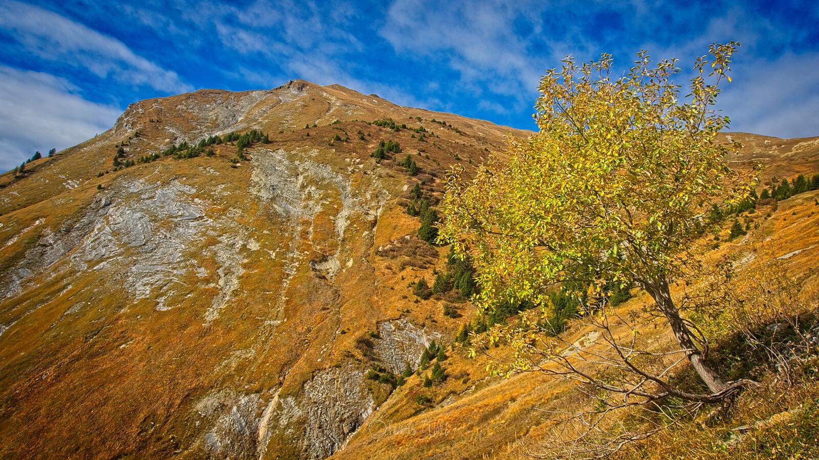 Bild ohne Beschreibung