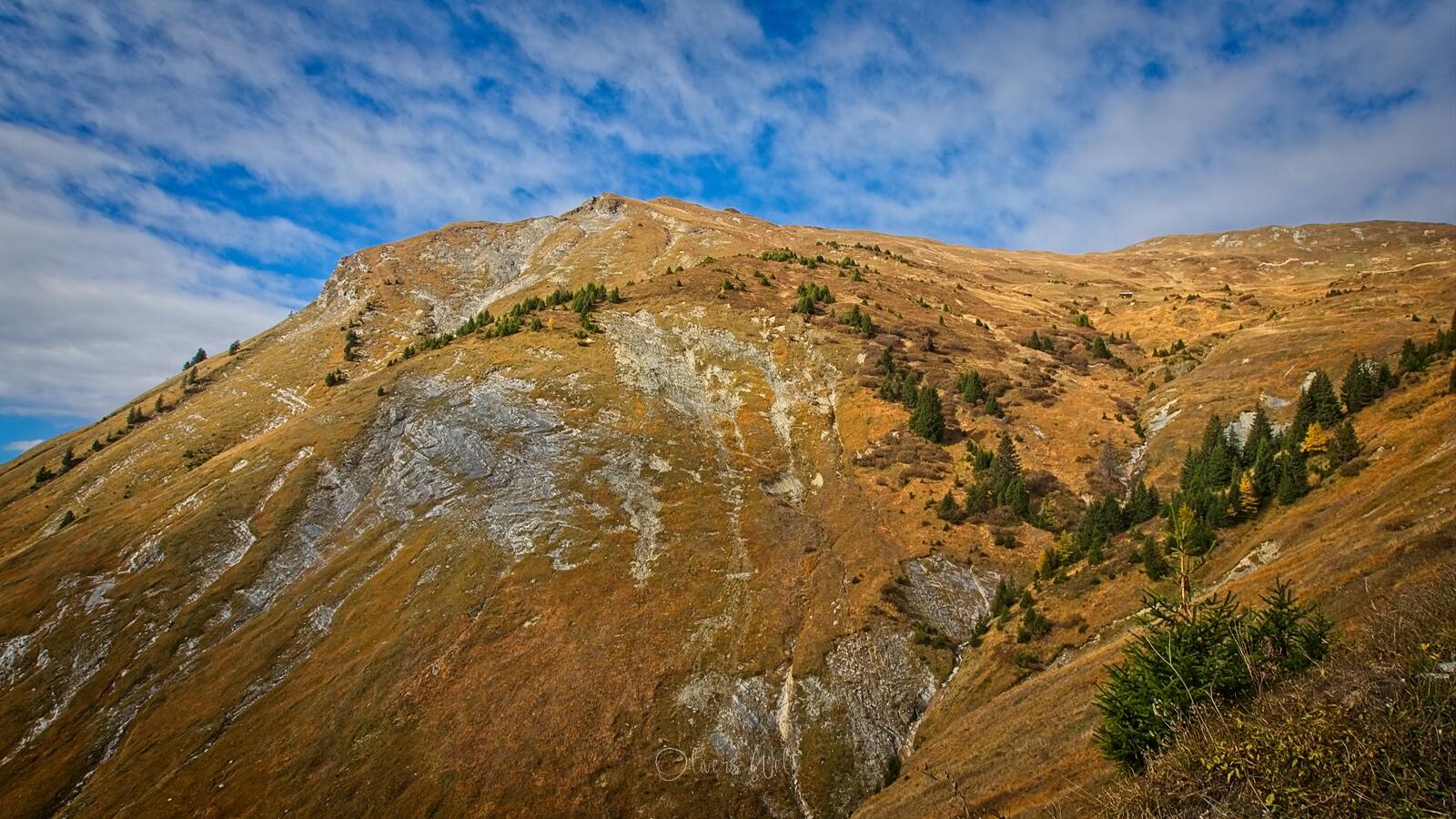 Bild ohne Beschreibung