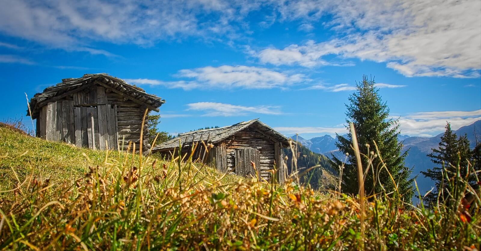 Bild ohne Beschreibung