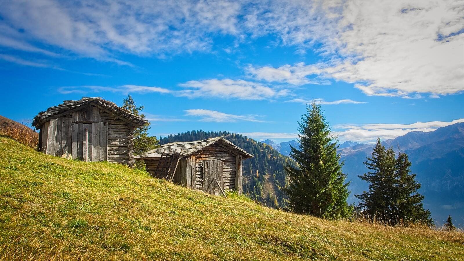 Bild ohne Beschreibung