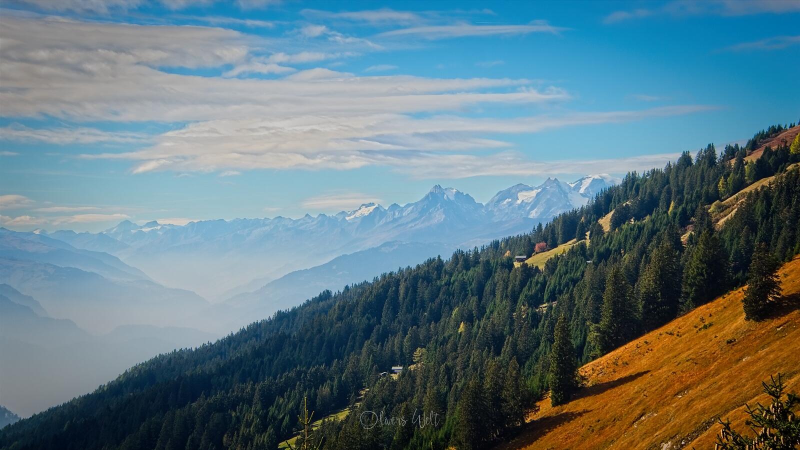 Bild ohne Beschreibung