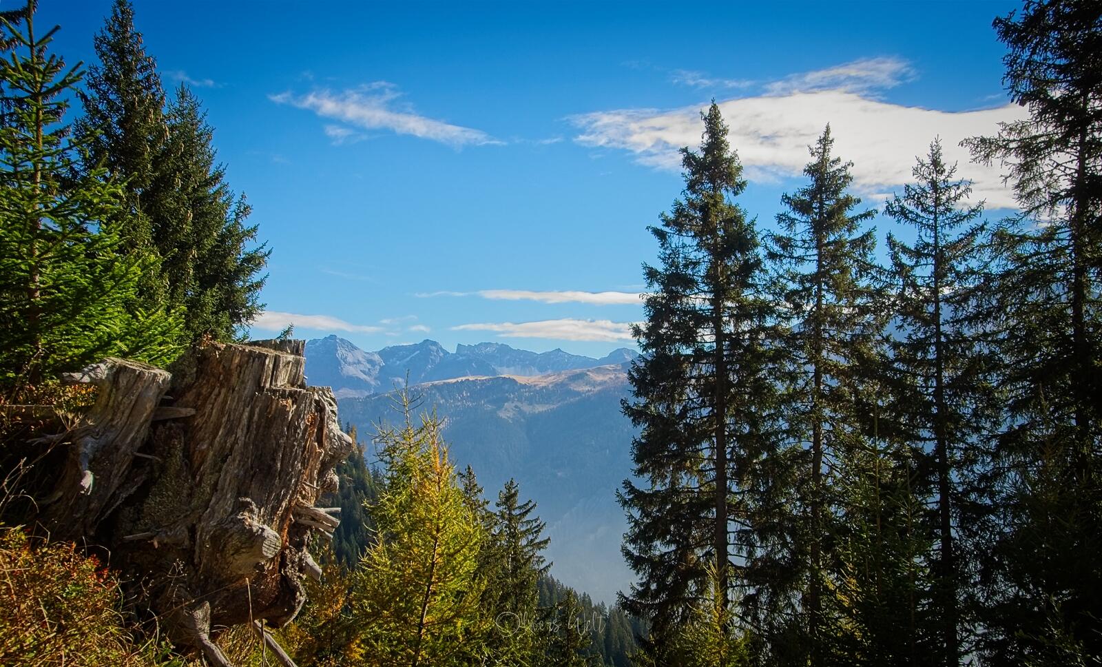 Bild ohne Beschreibung