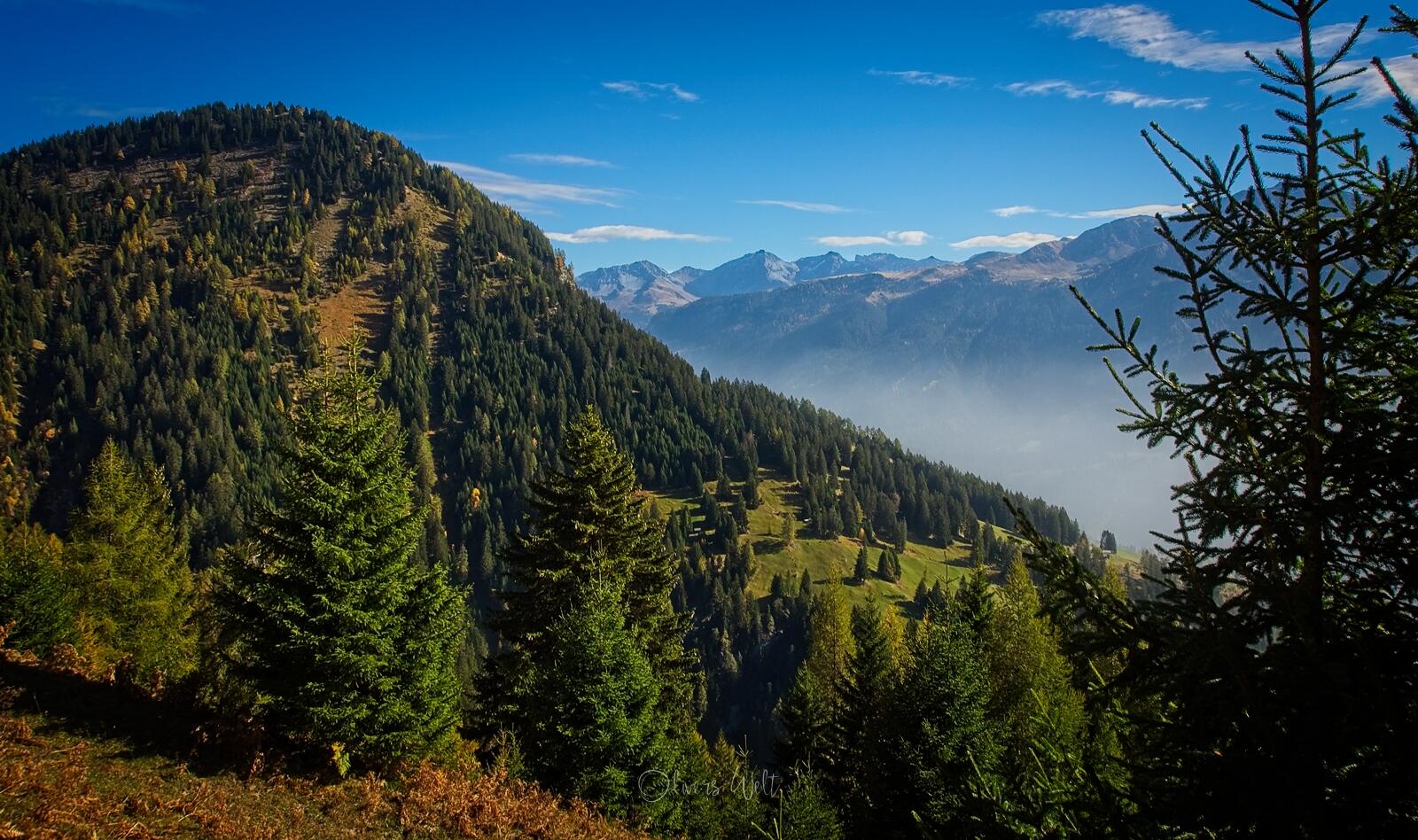 Bild ohne Beschreibung