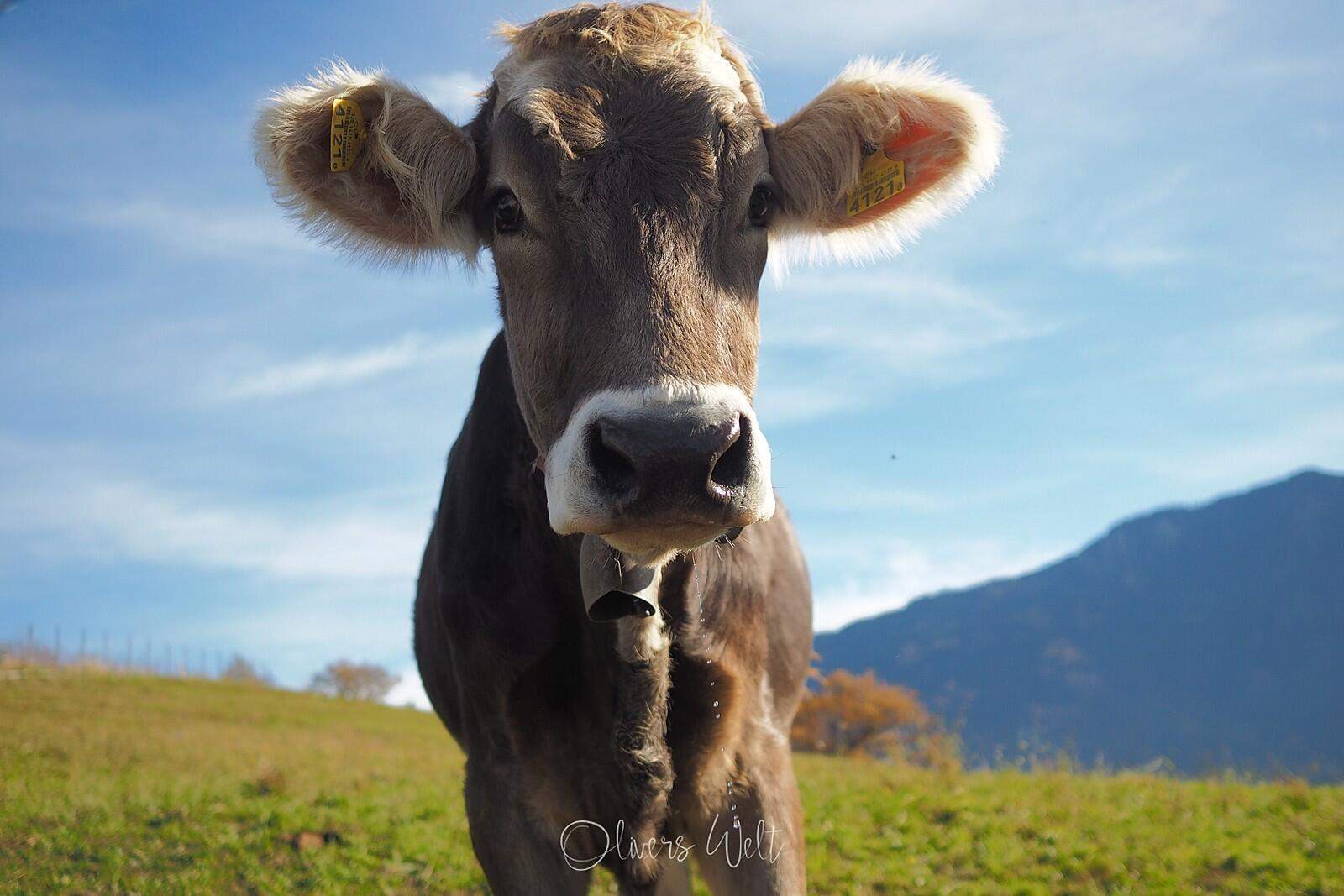 Bild ohne Beschreibung Bild ohne Beschreibung