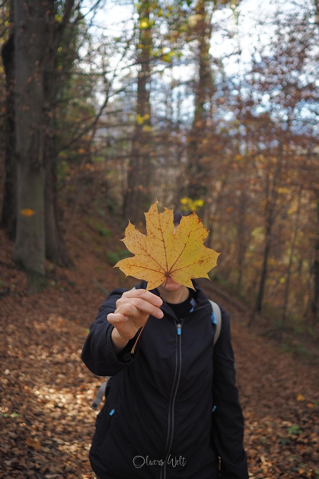 Bild ohne Beschreibung Bild ohne Beschreibung