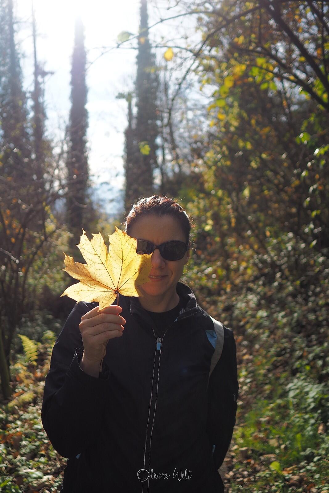 Bild ohne Beschreibung Bild ohne Beschreibung