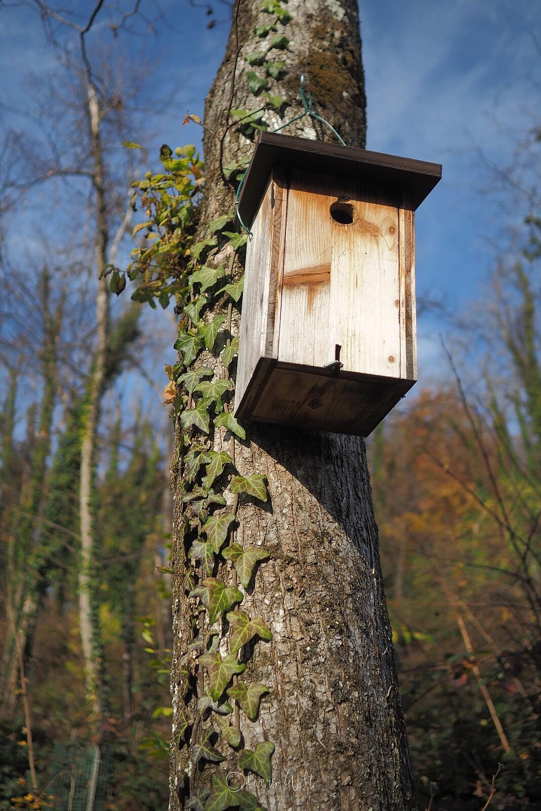 Bild ohne Beschreibung Bild ohne Beschreibung