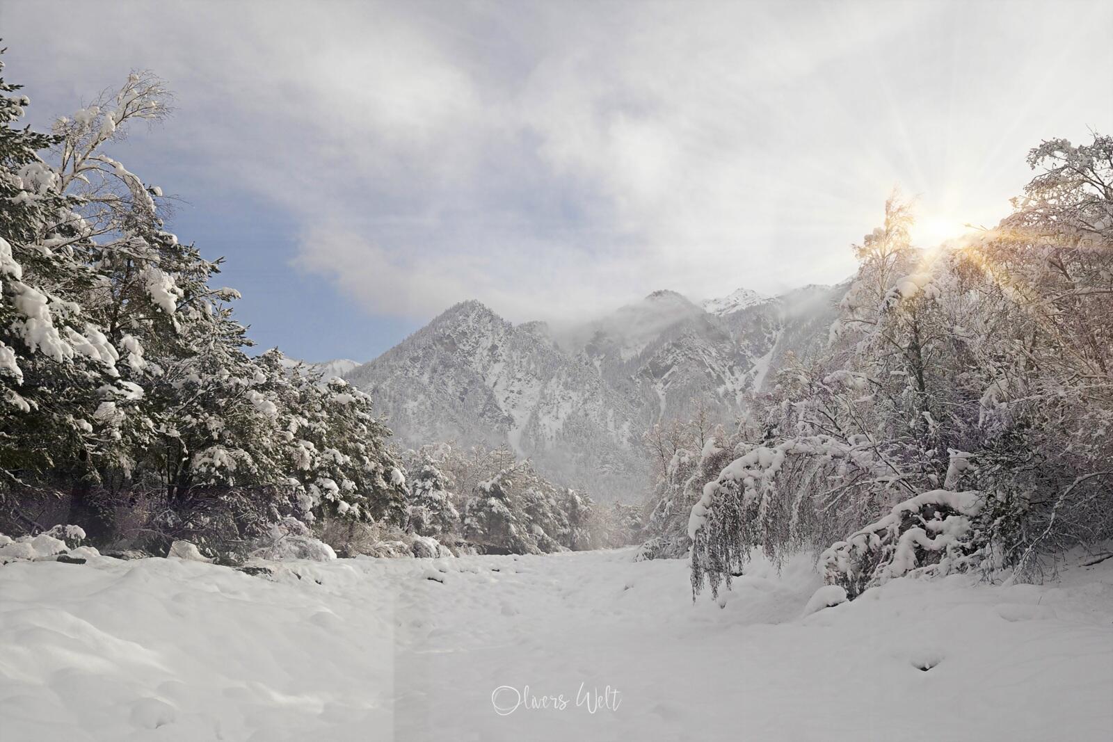 Bild ohne Beschreibung Bild ohne Beschreibung