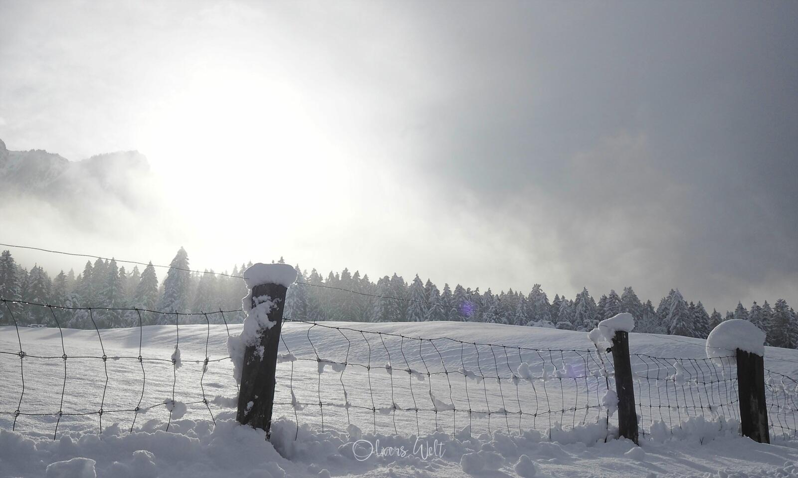 Bild ohne Beschreibung Bild ohne Beschreibung
