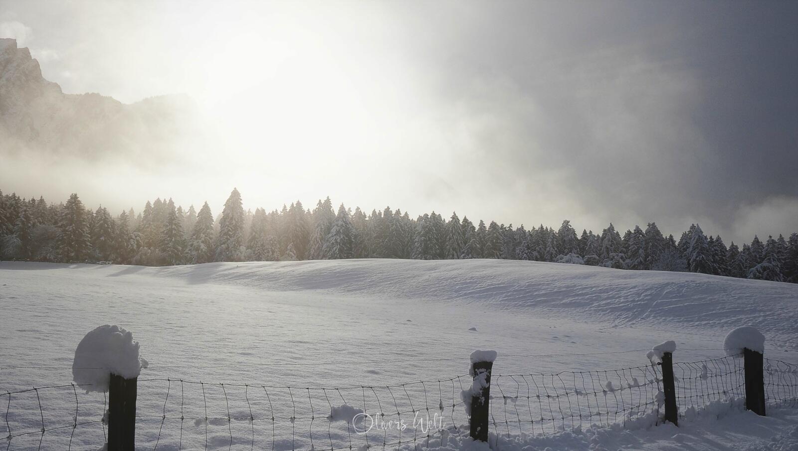 Bild ohne Beschreibung Bild ohne Beschreibung