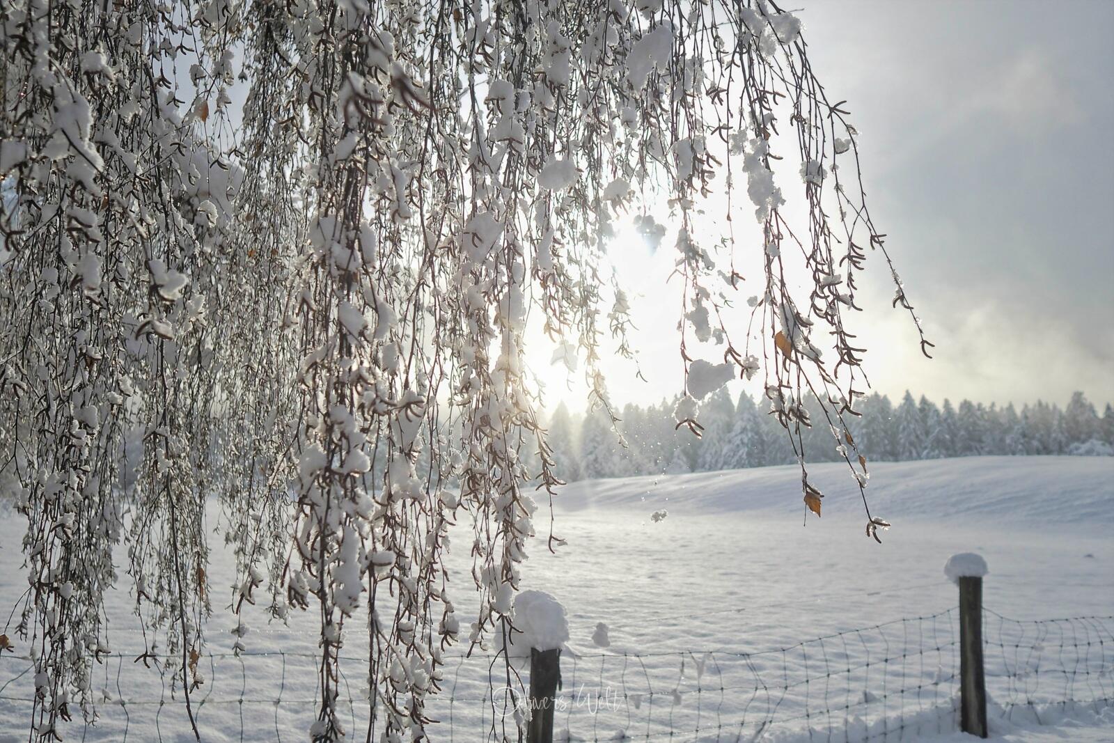 Bild ohne Beschreibung Bild ohne Beschreibung