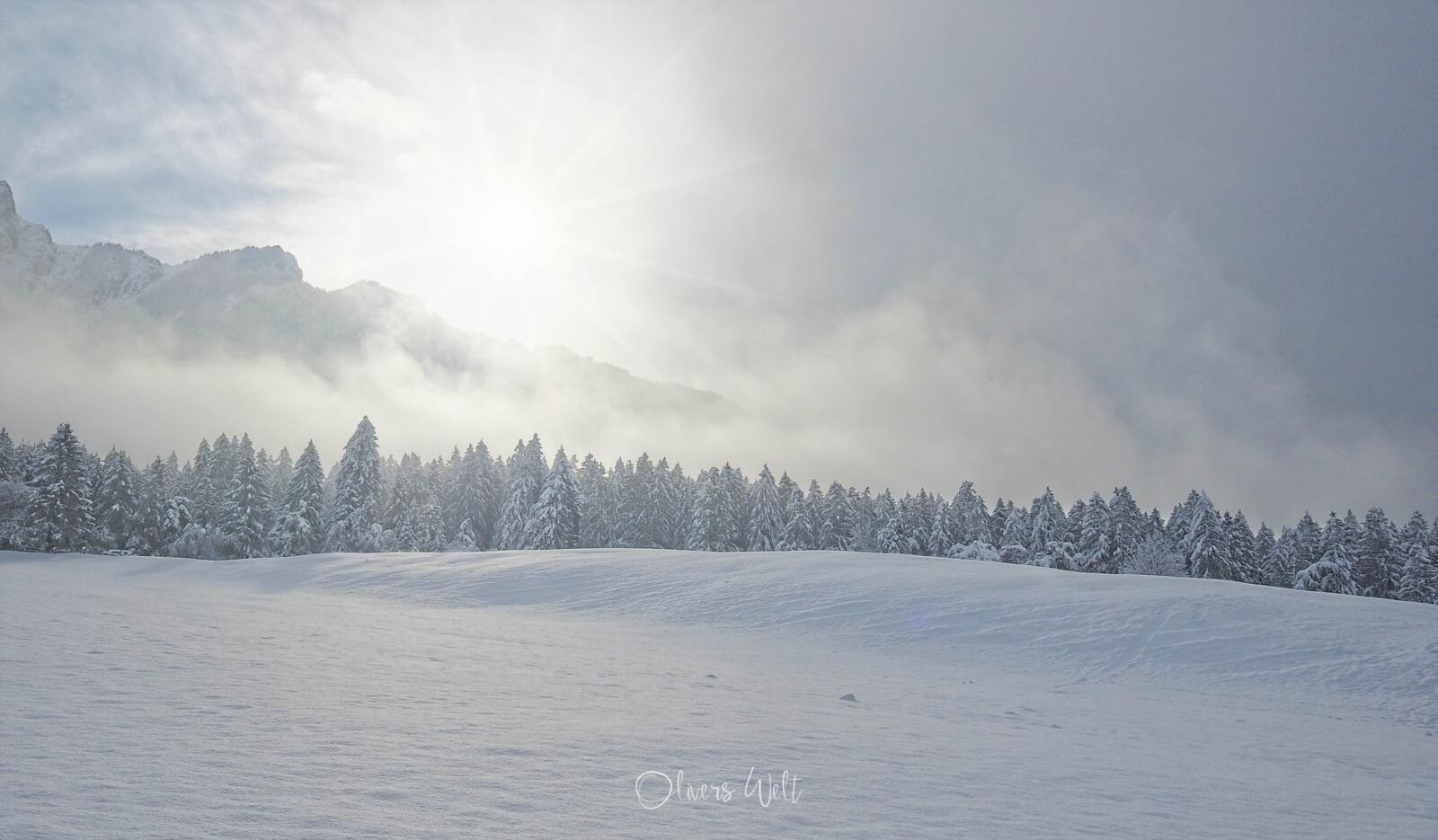 Bild ohne Beschreibung Bild ohne Beschreibung