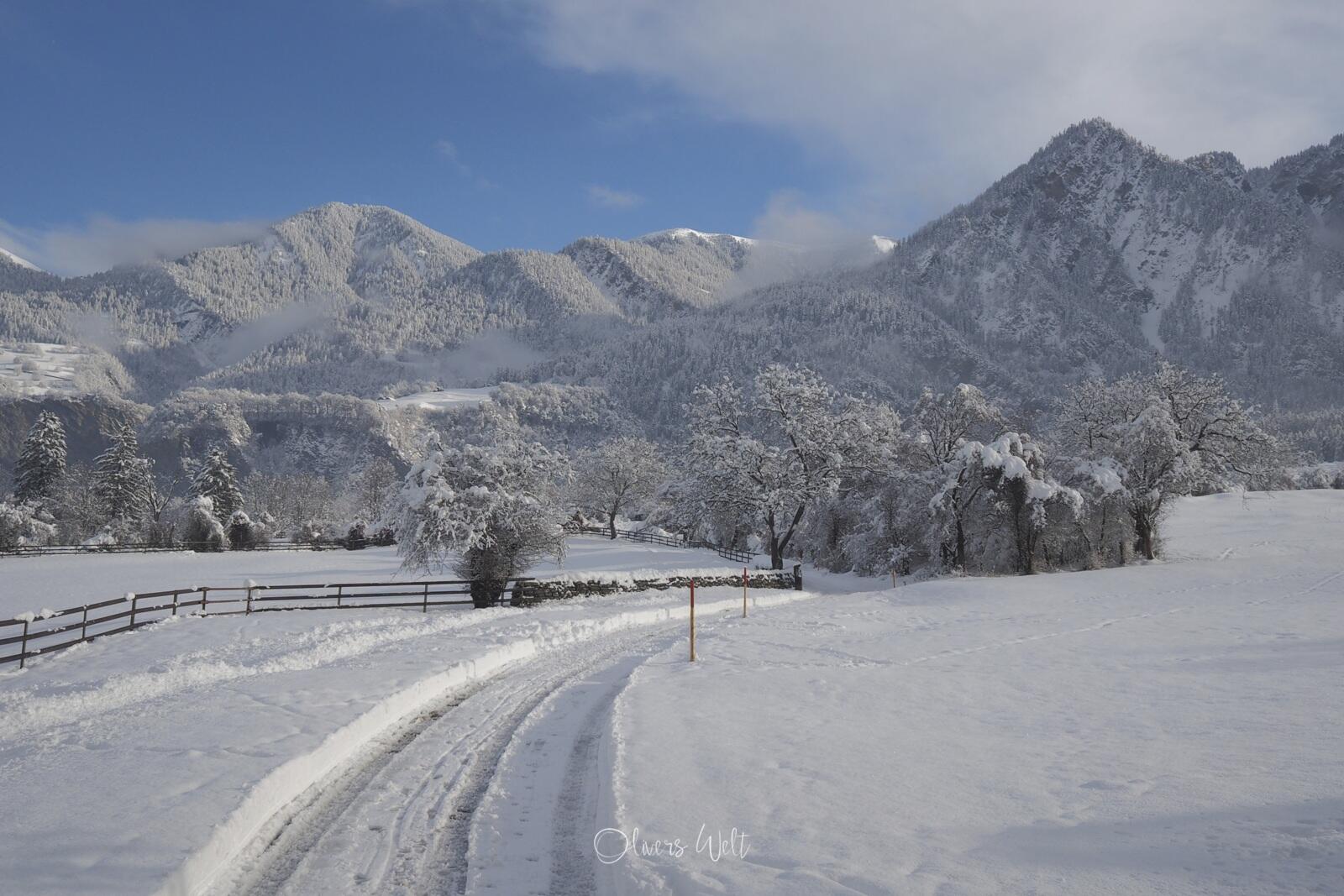 Bild ohne Beschreibung Bild ohne Beschreibung