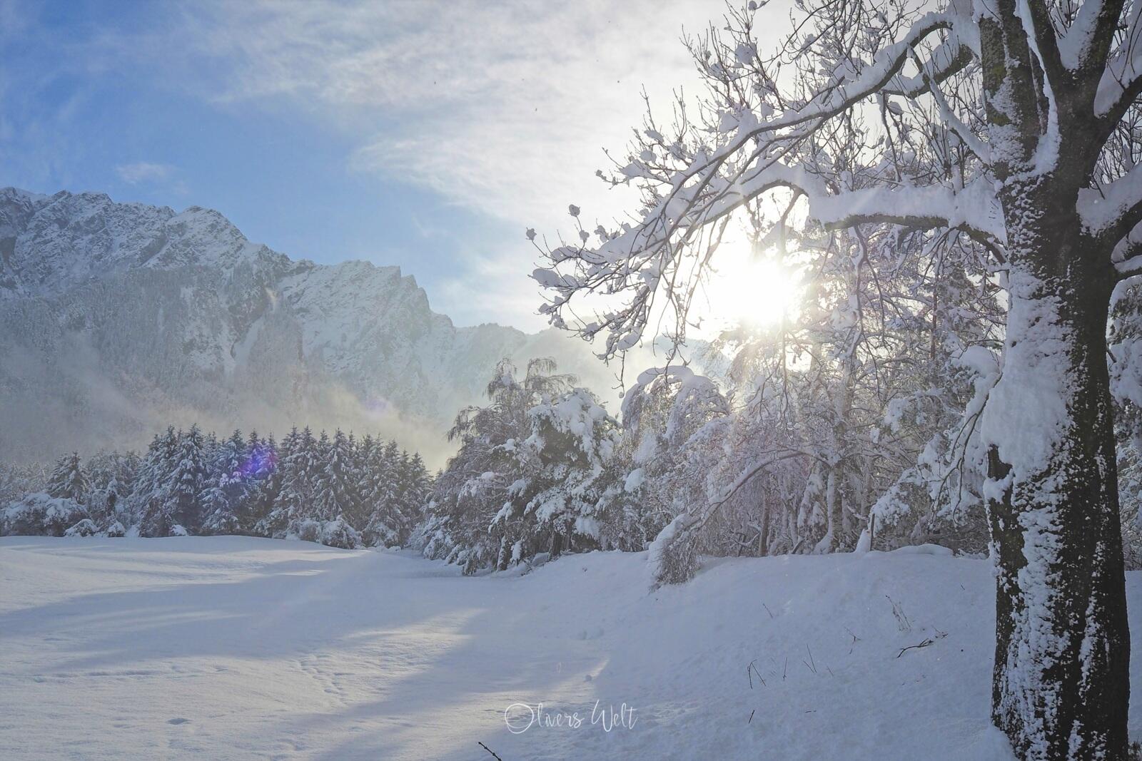 Bild ohne Beschreibung Bild ohne Beschreibung