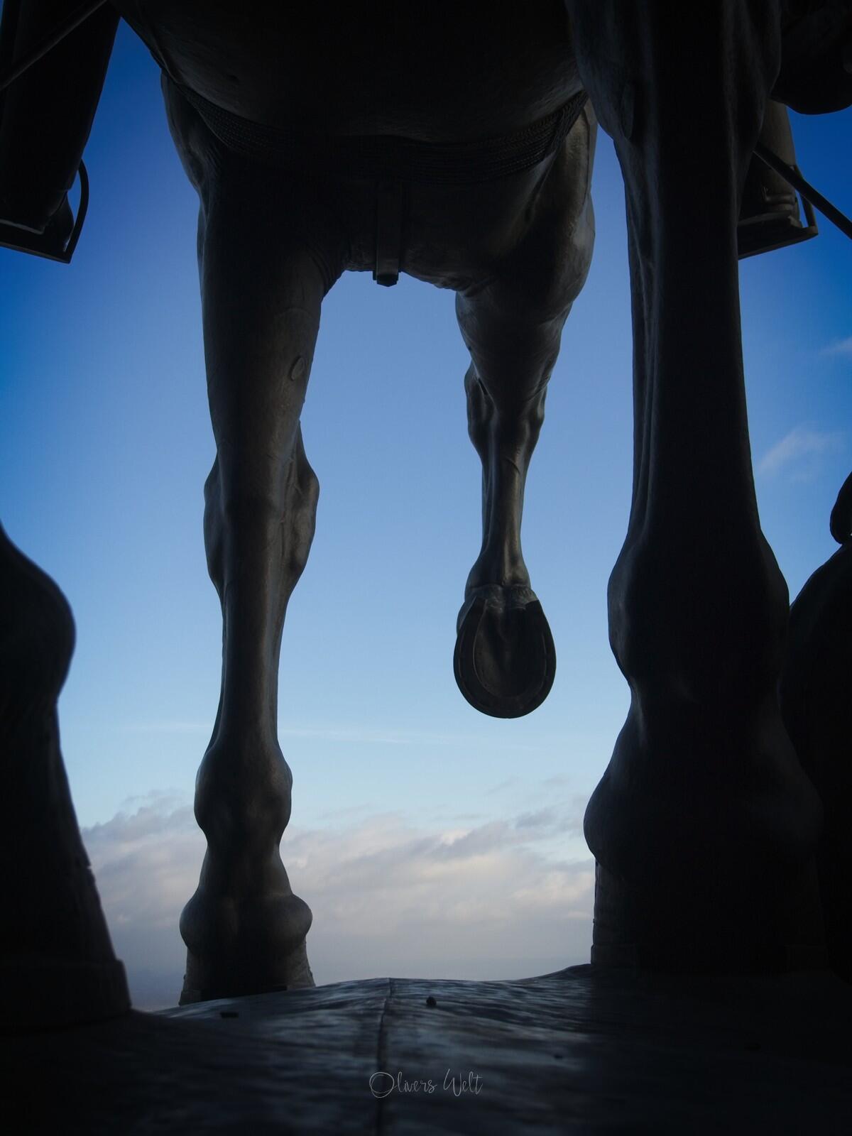 Bild ohne Beschreibung Bild ohne Beschreibung