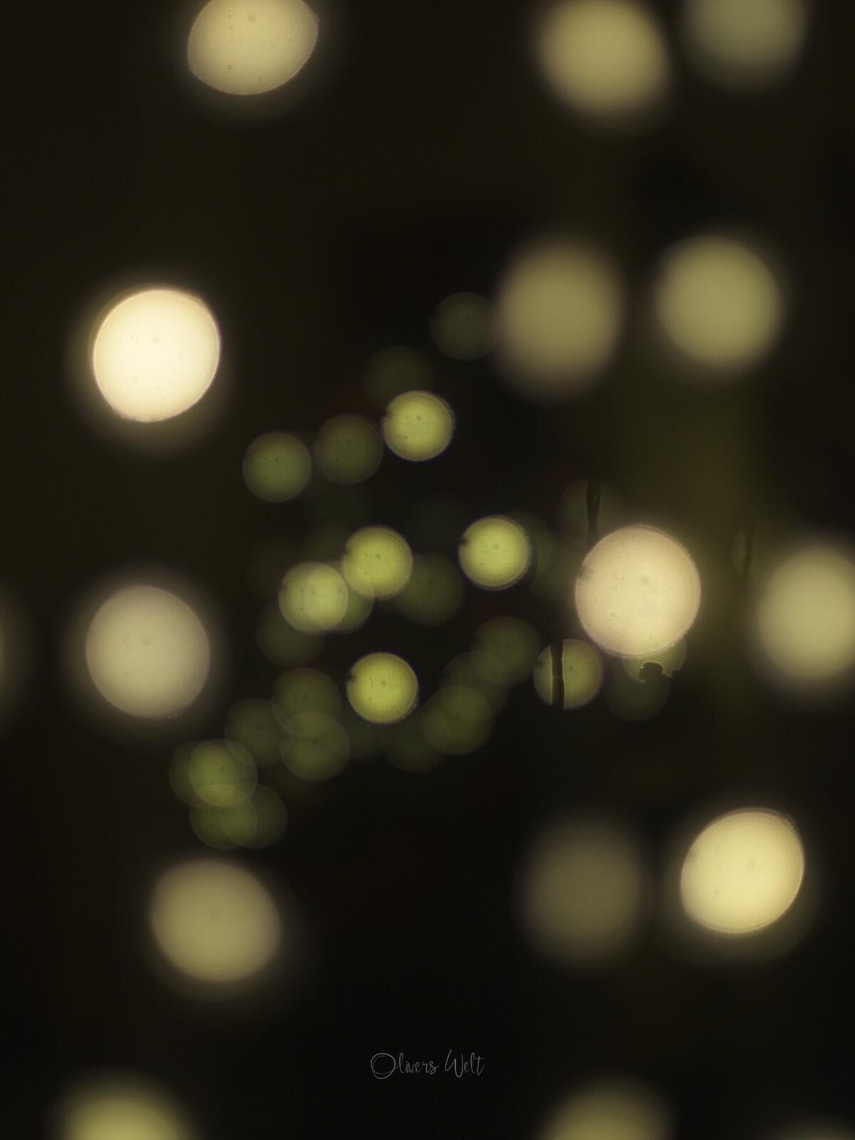 Bild ohne Beschreibung