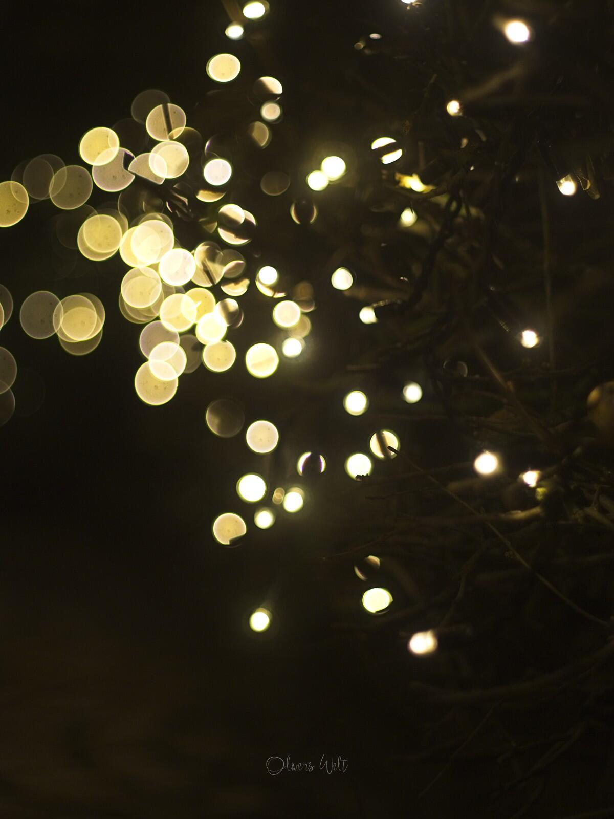 Bild ohne Beschreibung