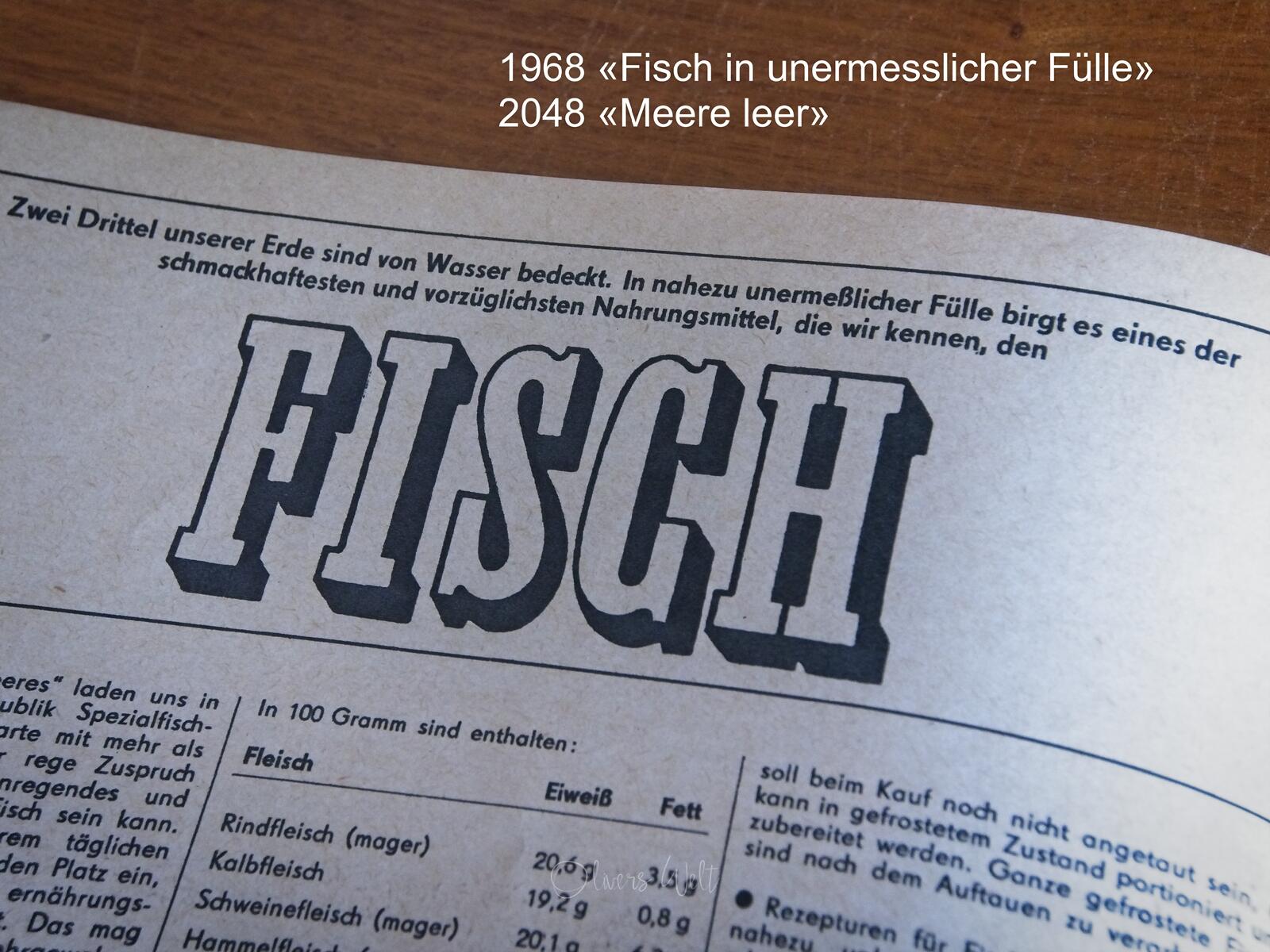 Bild ohne Beschreibung Bild ohne Beschreibung