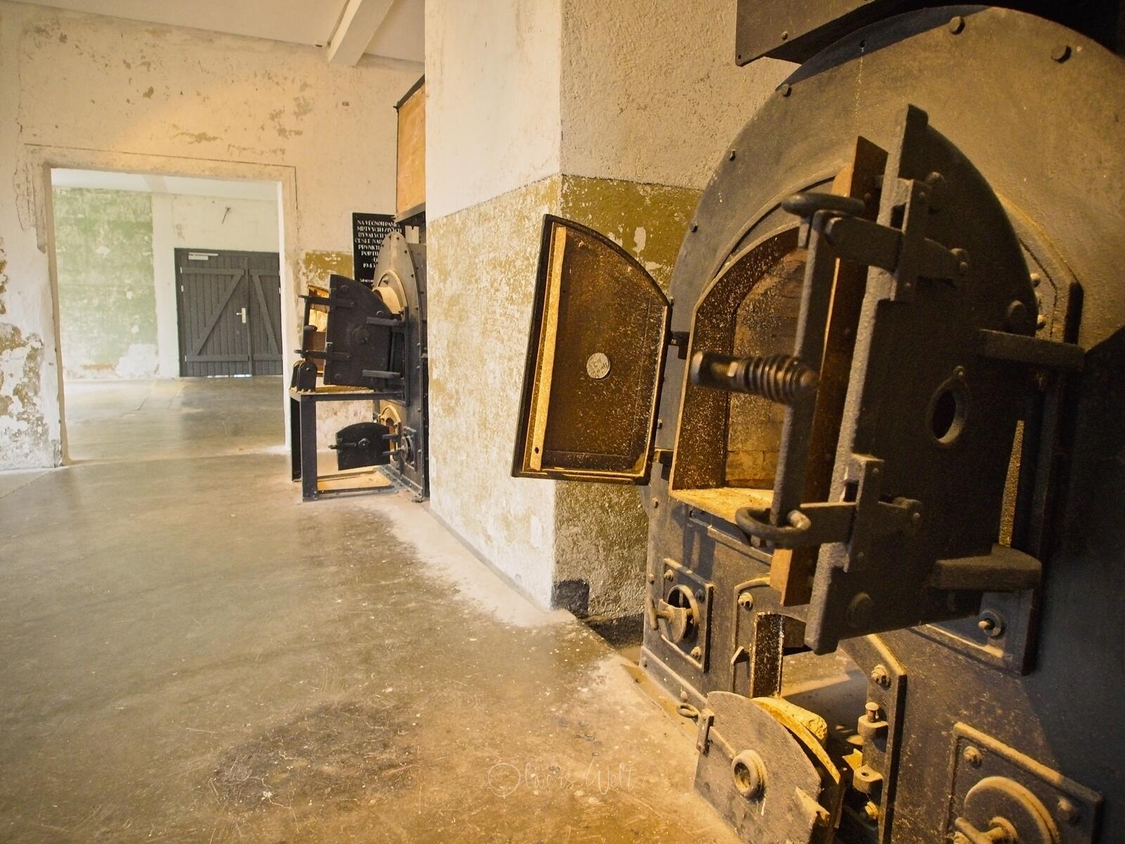 Bild ohne Beschreibung Bild ohne Beschreibung