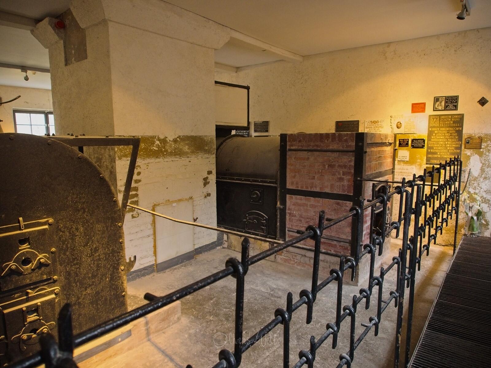 Bild ohne Beschreibung Bild ohne Beschreibung