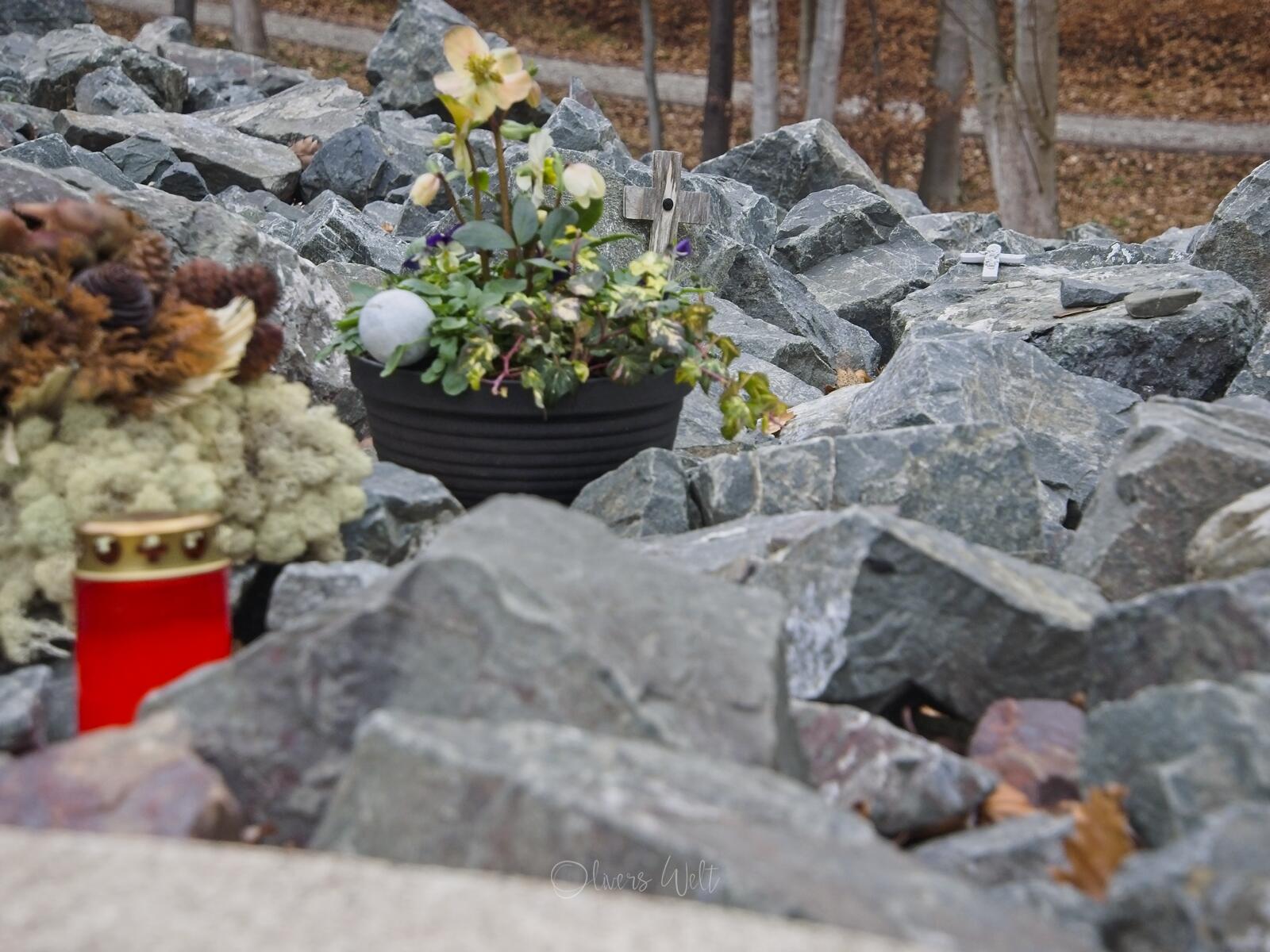 Bild ohne Beschreibung Bild ohne Beschreibung