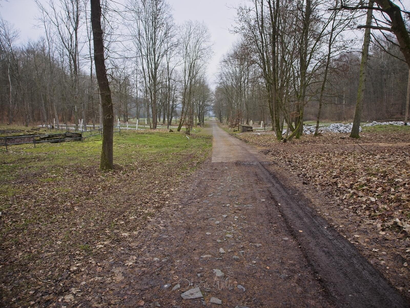 Bild ohne Beschreibung Bild ohne Beschreibung