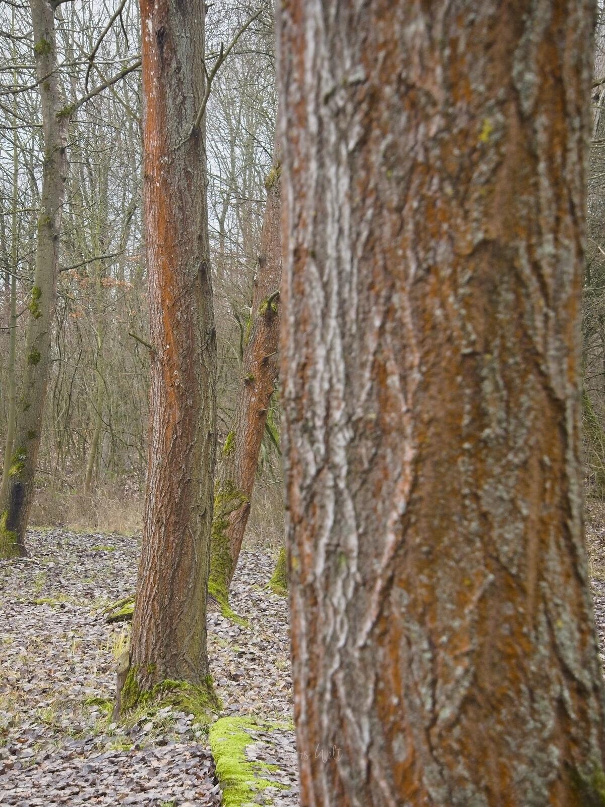 Bild ohne Beschreibung Bild ohne Beschreibung