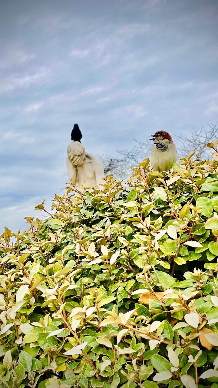 Bild ohne Beschreibung