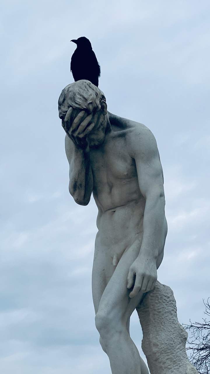 Bild ohne Beschreibung